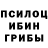 Псилоцибиновые грибы прущие грибы Diana Very