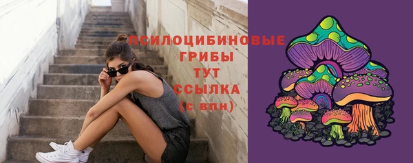 шишки Козловка