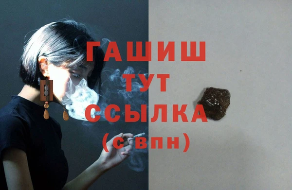молекула духа Козельск
