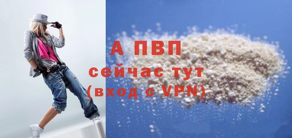 молекула духа Козельск