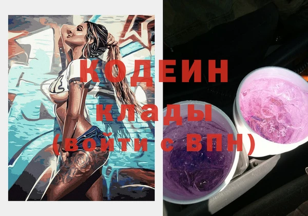 шишки Козловка