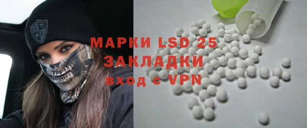 apvp Каменка
