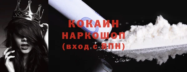 apvp Каменка