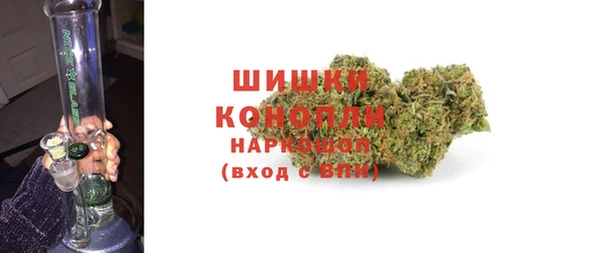 шишки Козловка