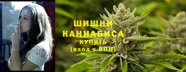 молекула духа Козельск