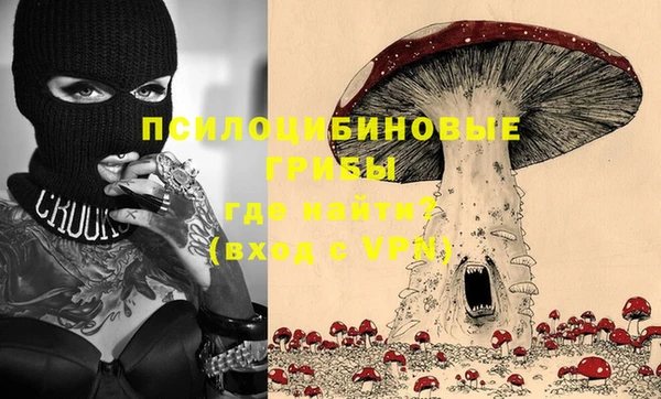 мдпв Кодинск