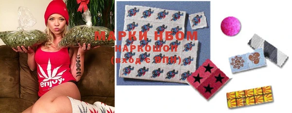 мдпв Кодинск