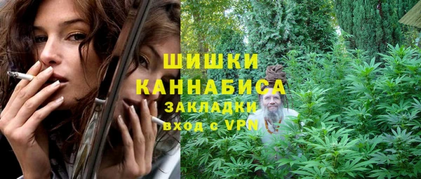 молекула духа Козельск