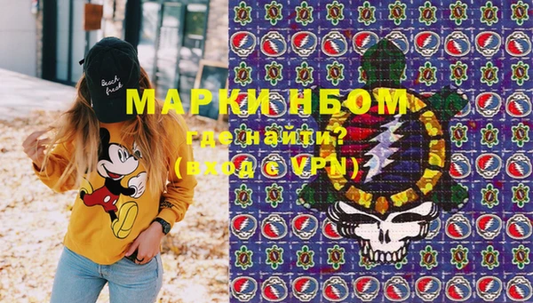 apvp Каменка