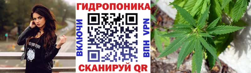 Купить закладки  Городовиковск  Бошки марихуана семена 